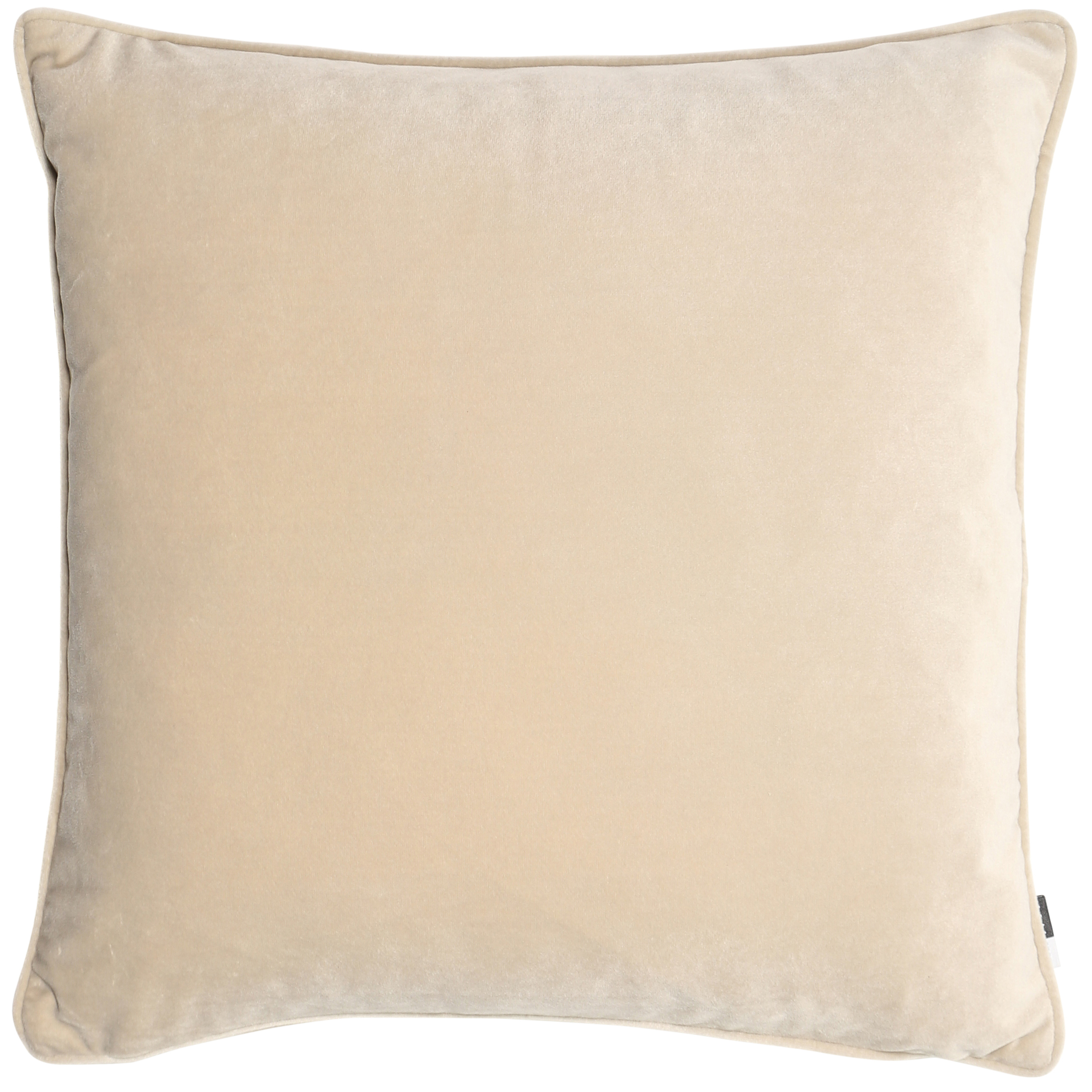 Matt Poly Velvet W. Piping by Malini | Style Our Home