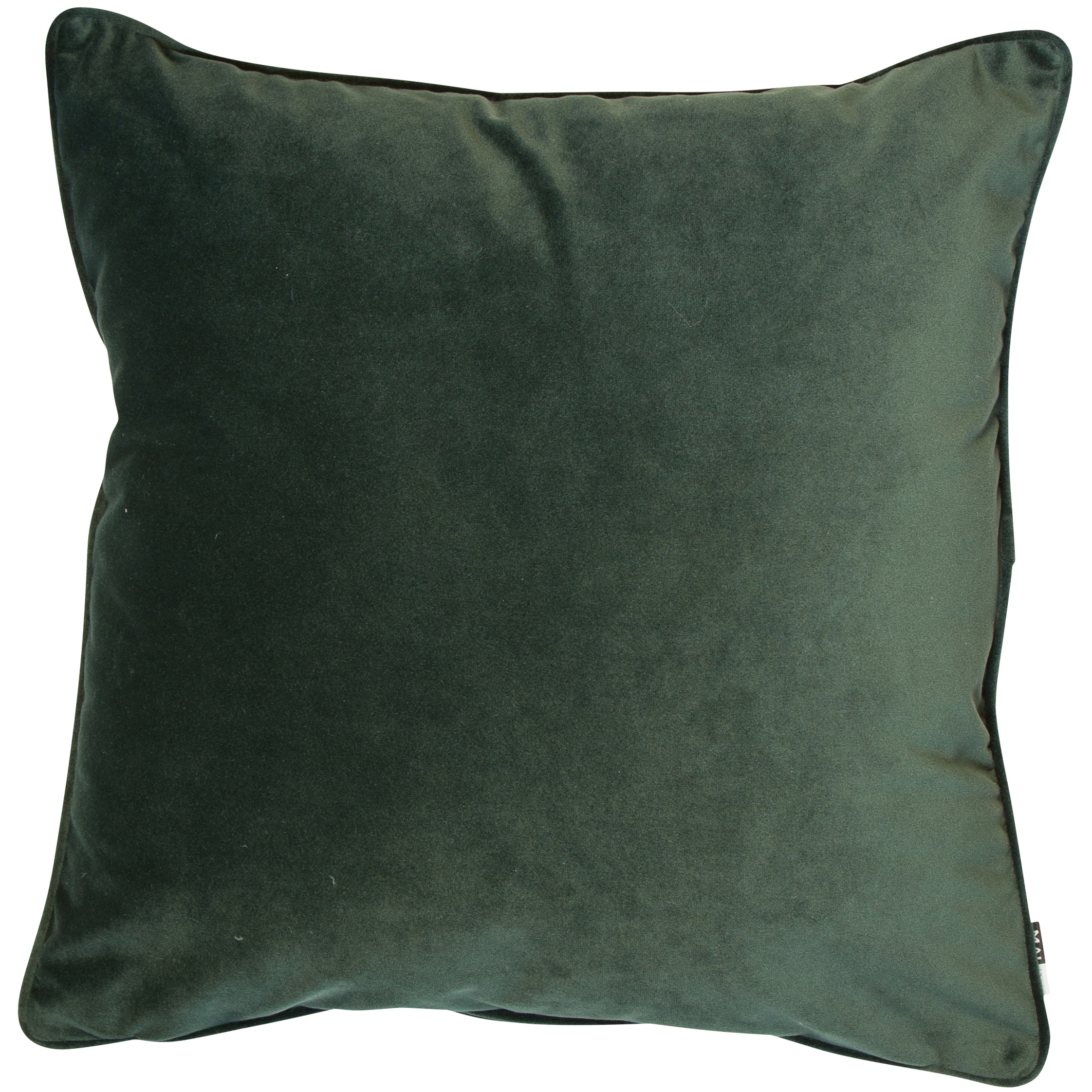 Matt Poly Velvet W. Piping by Malini | Style Our Home