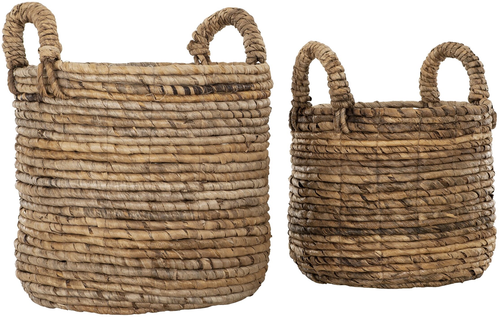 Pretoria Basket