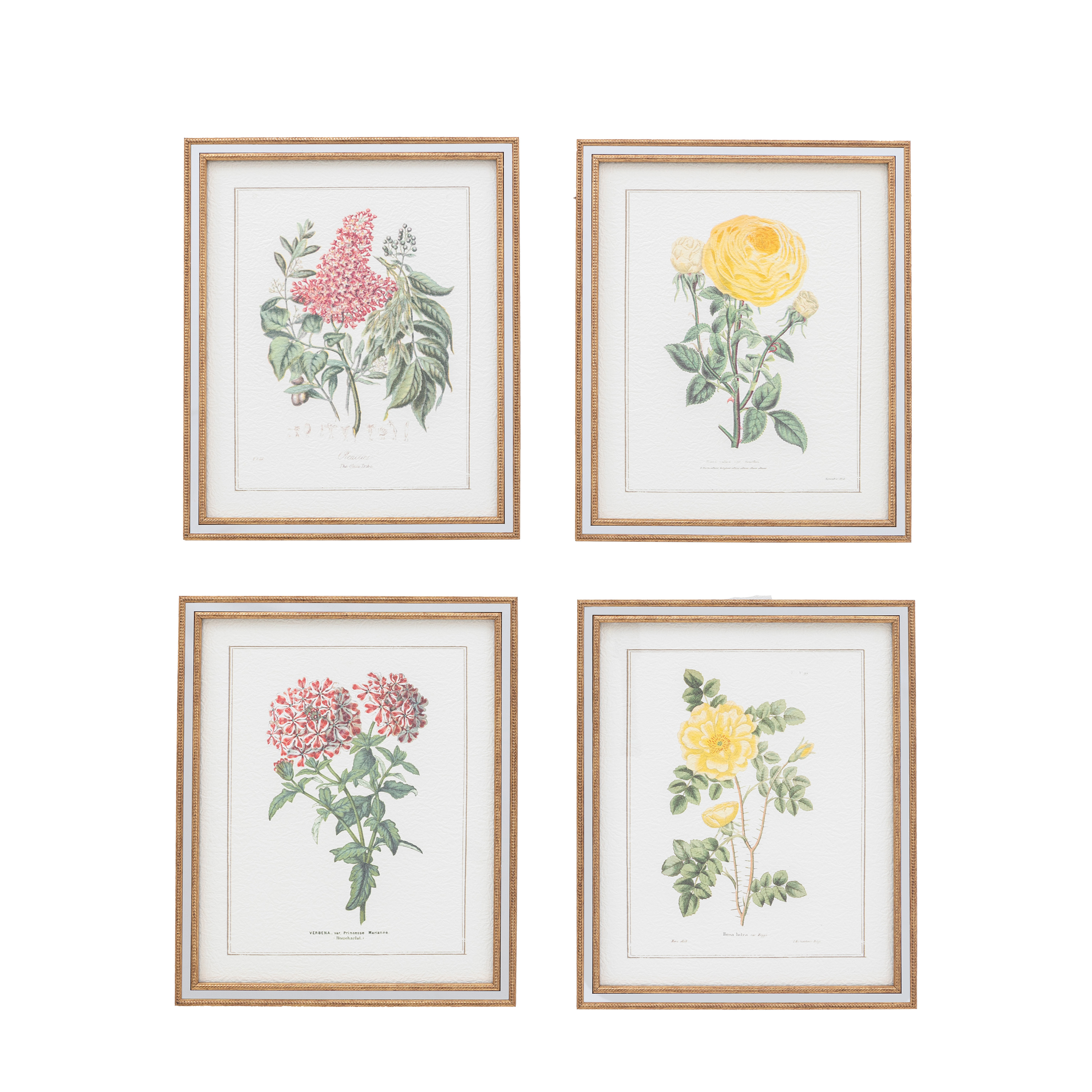 Floral Quartet Framed Art Set of 4 by Gallery Living | Style Our Home