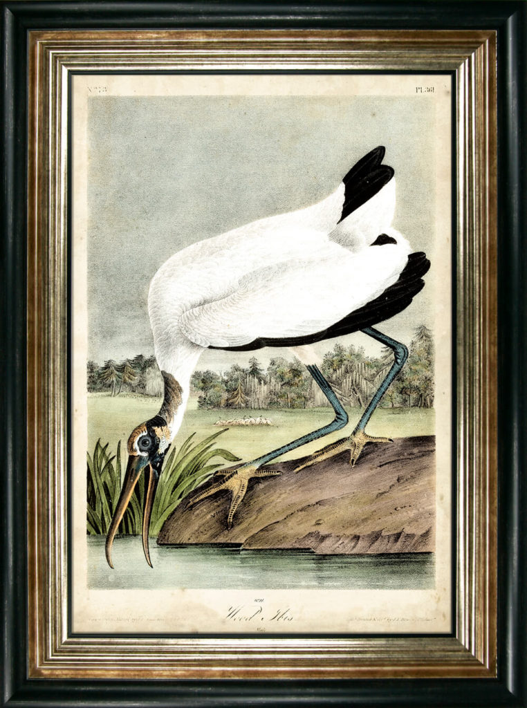 Wood Ibis by Camelot Pictures | Style Our Home